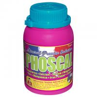 Phoscal